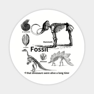 fossil, Proof that dinosaurs were alive a long time ago, dinosaur, an ammonite, a trilobite Magnet